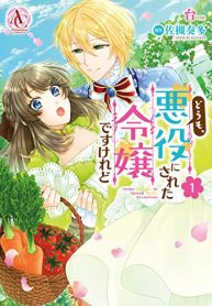 どうも､悪役にされた令嬢ですけれど (Raw – Free)