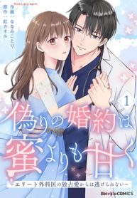 偽りの婚約は蜜よりも甘く～エリート外科医の独占愛からは逃げられない～ (Raw – Free)