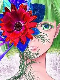 ワイルドストロベリー (Raw – Free)