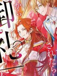 可愛い義妹が婚約破棄されたらしいので、今から「御礼」に参ります。 (Raw – Free)