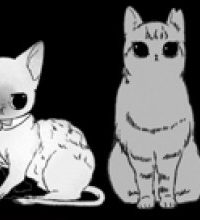 スローステップ朔太郎 (Raw – Free)