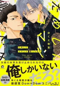 ためしにコマンド言ってみた (Raw – Free)