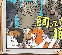 飼ってない猫 (Raw – Free)
