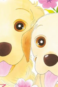 ハッピー！ハッピー♪ 波間信子短編集 (Raw – Free)