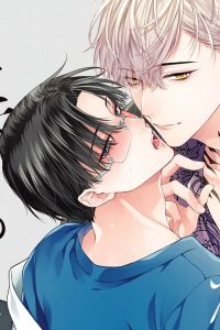 躾けてとかして暴いて愛でて (Raw – Free)