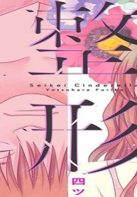 整形シンデレラ (Raw – Free)