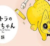 茶トラのやっちゃん (Raw – Free)