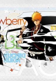 ブリーチ – Bleach (Raw – Free)