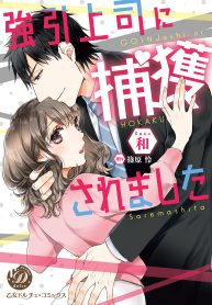 強引上司に捕獲されました (Raw – Free)
