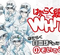 はたらく細胞white (Raw – Free)