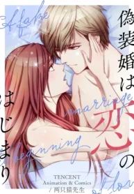 偽装婚は恋のはじまり (Raw – Free)