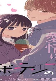 サボテンの花 (Raw – Free)