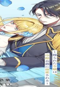 偽りの花嫁～操られた令嬢は冷酷公爵に溺愛される～ (Raw – Free)