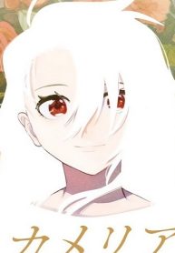 カメリアのカーテン (Raw – Free)