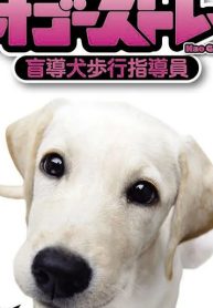 オ・ゴーストレート 盲導犬歩行指導員 新装版 (Raw – Free)