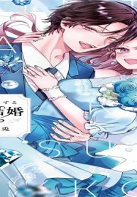 ホントは恋する政略結婚 (Raw – Free)