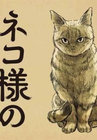 今日もネコ様の圧が強い (Raw – Free)