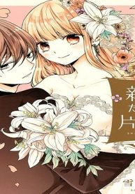 新婚だけど片想い (Raw – Free)