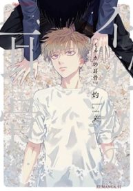 イルカの耳骨 (Raw – Free)