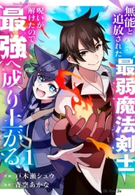 無能と追放された最弱魔法剣士、呪いが解けたので最強へ成り上がる (Raw – Free)