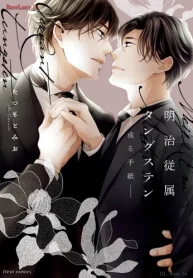 明治従属タングステン (Raw – Free)