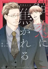 猫、恋に焦がれる (Raw – Free)