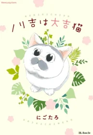 ノリ吉は大吉猫 (Raw – Free)