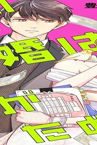 この結婚は誰がために (Raw – Free)