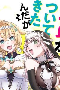 勇者パーティーをクビになったので故郷に帰ったら、メンバー全員がついてきたんだが (Raw – Free)