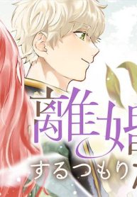 離婚するつもりだった。 (Raw – Free)