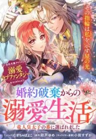 婚約破棄からの溺愛生活 竜人皇太子の番に選ばれました (Raw – Free)