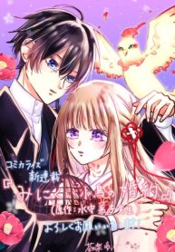 みにくい小鳥の婚約 (Raw – Free)